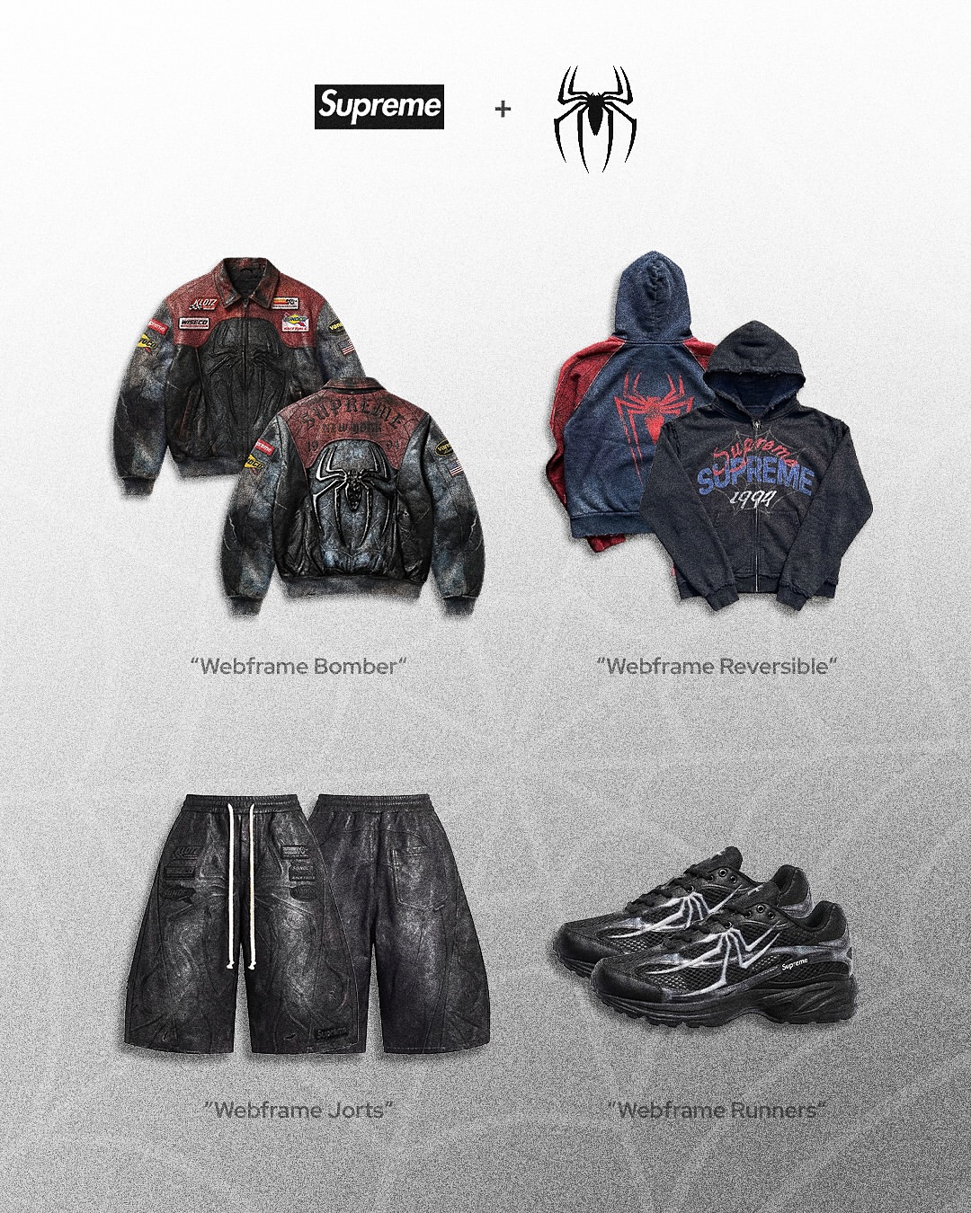 Supreme x Spider-Man